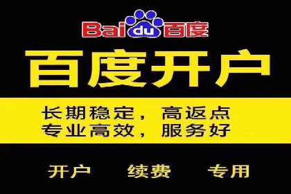 信息流广告公司案例分析：精准投放策略解析